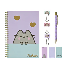 Pusheen - Conjunto de Escrita