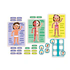 Montessori - O Corpo Humano 3