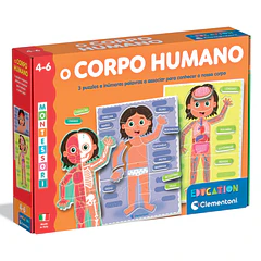 Montessori - O Corpo Humano