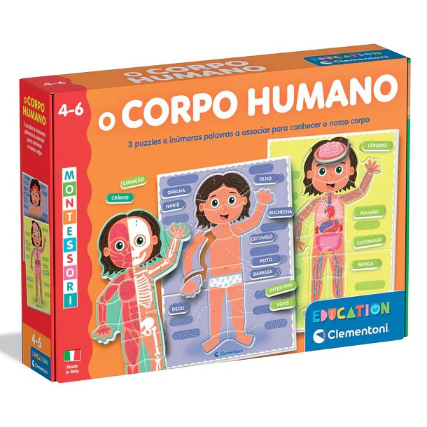 Montessori - O Corpo Humano 1