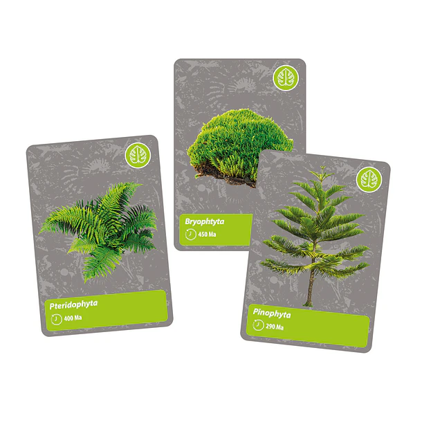 História da Vida na Terra 6