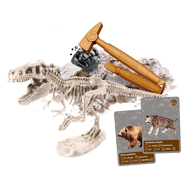 História da Vida na Terra 3