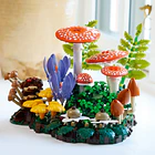 Cogumelos Silvestres 6