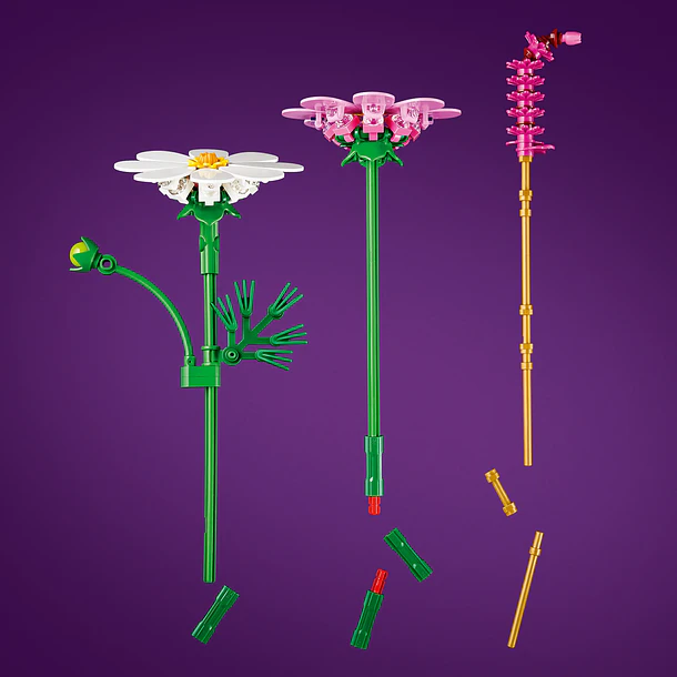 Cosmos 4