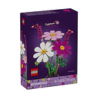 Cosmos 1