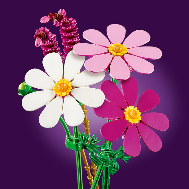 Cosmos 3