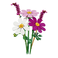 Cosmos