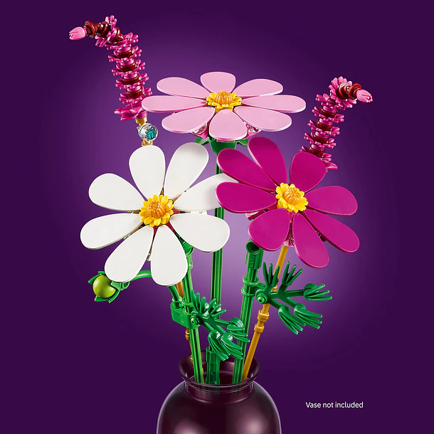 Cosmos 5