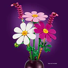 Cosmos 5