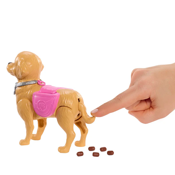Barbie “Malibu” - Passeio do Cachorrinho 5