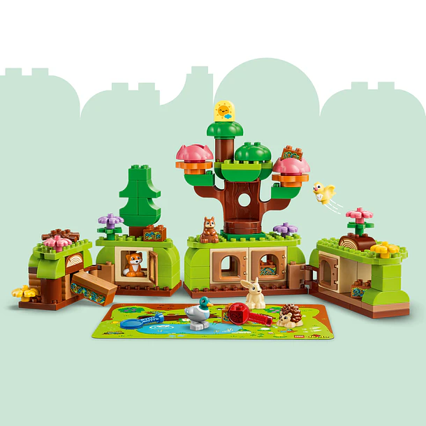Floresta de Descobertas com Animais Selvagens 3