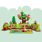 Floresta de Descobertas com Animais Selvagens 3
