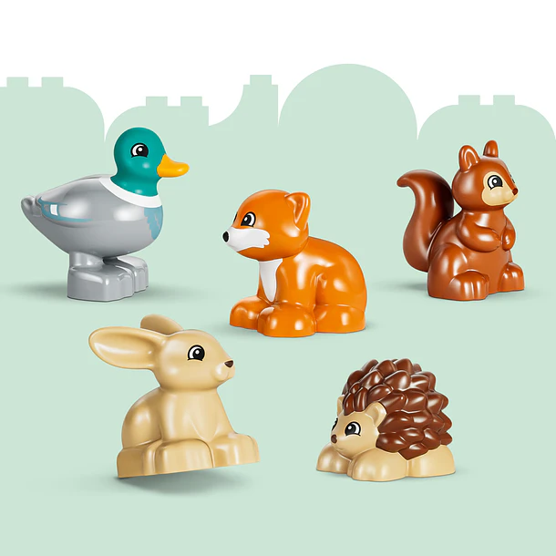 Floresta de Descobertas com Animais Selvagens 4