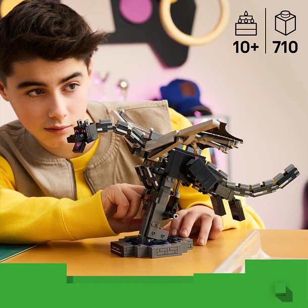 O Dragão Ender 12
