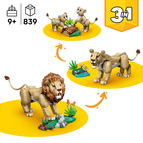 Animais Selvagens: Leão Majestoso 3