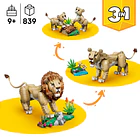 Animais Selvagens: Leão Majestoso 3
