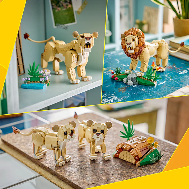 Animais Selvagens: Leão Majestoso 7