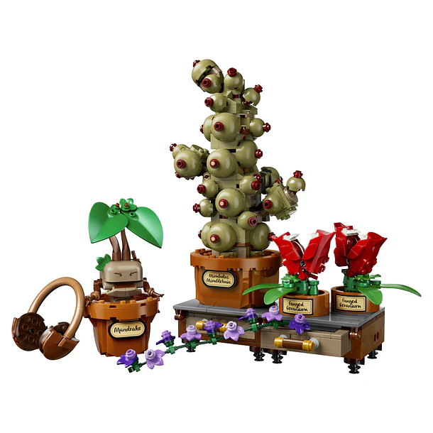 Plantas de Herbologia de Hogwarts 2