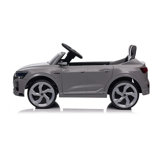 Audi SQ8 Cinza 12V 5