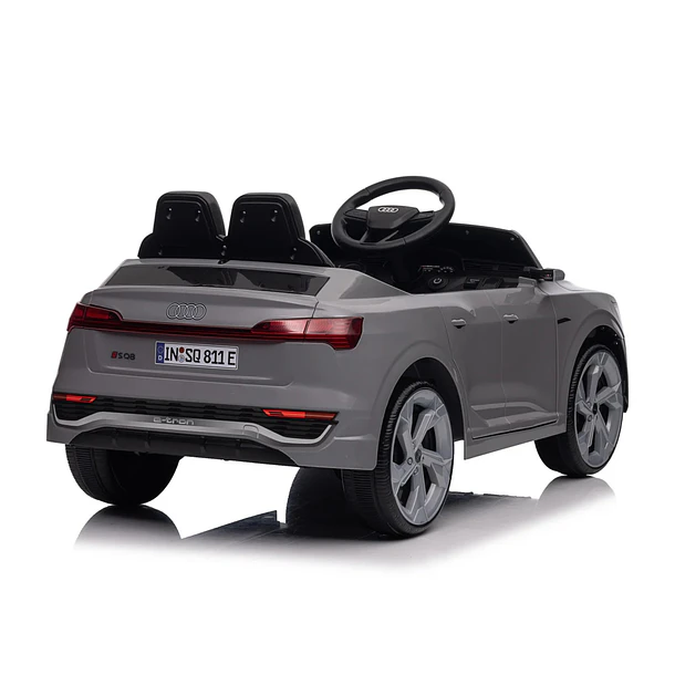 Audi SQ8 Cinza 12V 8