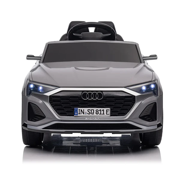 Audi SQ8 Cinza 12V 6