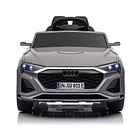 Audi SQ8 Cinza 12V 6