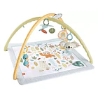 Fisher-Price - Ginásio Desperte Seus Sentidos 2