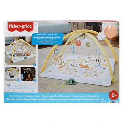 Fisher-Price - Ginásio Desperte Seus Sentidos