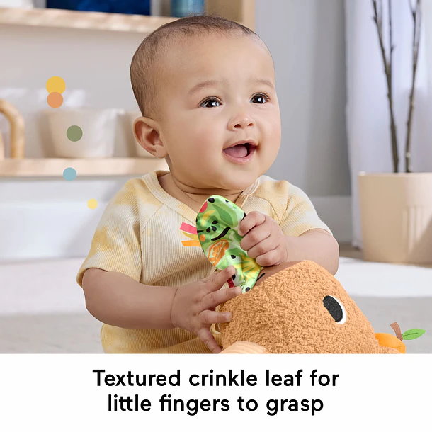 Fisher-Price - Capivara Fofinha 4