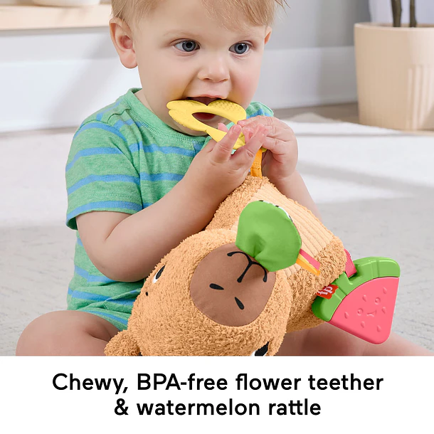 Fisher-Price - Capivara Fofinha 5