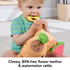Fisher-Price - Capivara Fofinha 5