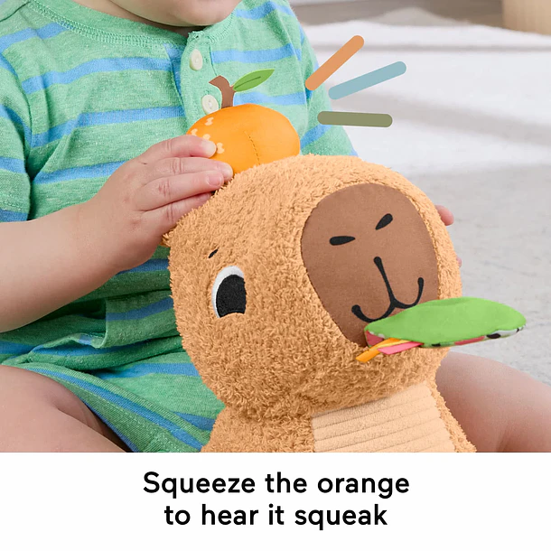 Fisher-Price - Capivara Fofinha 6