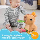 Fisher-Price - Capivara Fofinha 3