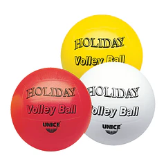 Bola de Volley