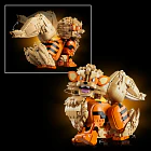 Arcanine 6