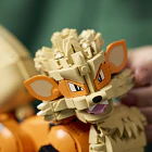 Arcanine 11