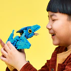 Dinossauro Bebé: Pteranodonte 11