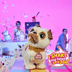 Pets Alive - Poppy the Dancing Pug 5