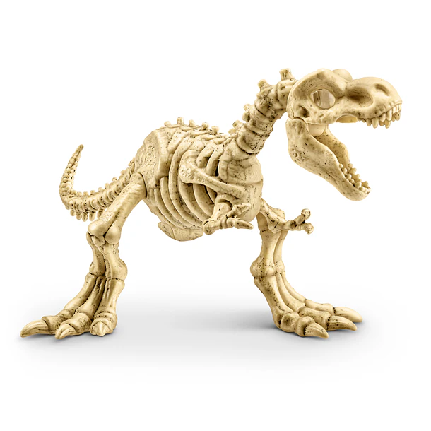Robo Alive - Ovo Dino Fossil Find! Amber Adventure! 4