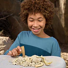 Robo Alive - Ovo Dino Fossil Find! 6