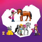 Estábulos e Escola de Equitação 5