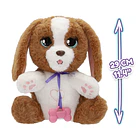 Baby Paws - Check Up Veterinário 4