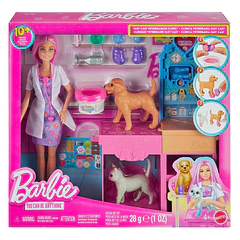 Barbie Clínica Veterinária Fast Cast