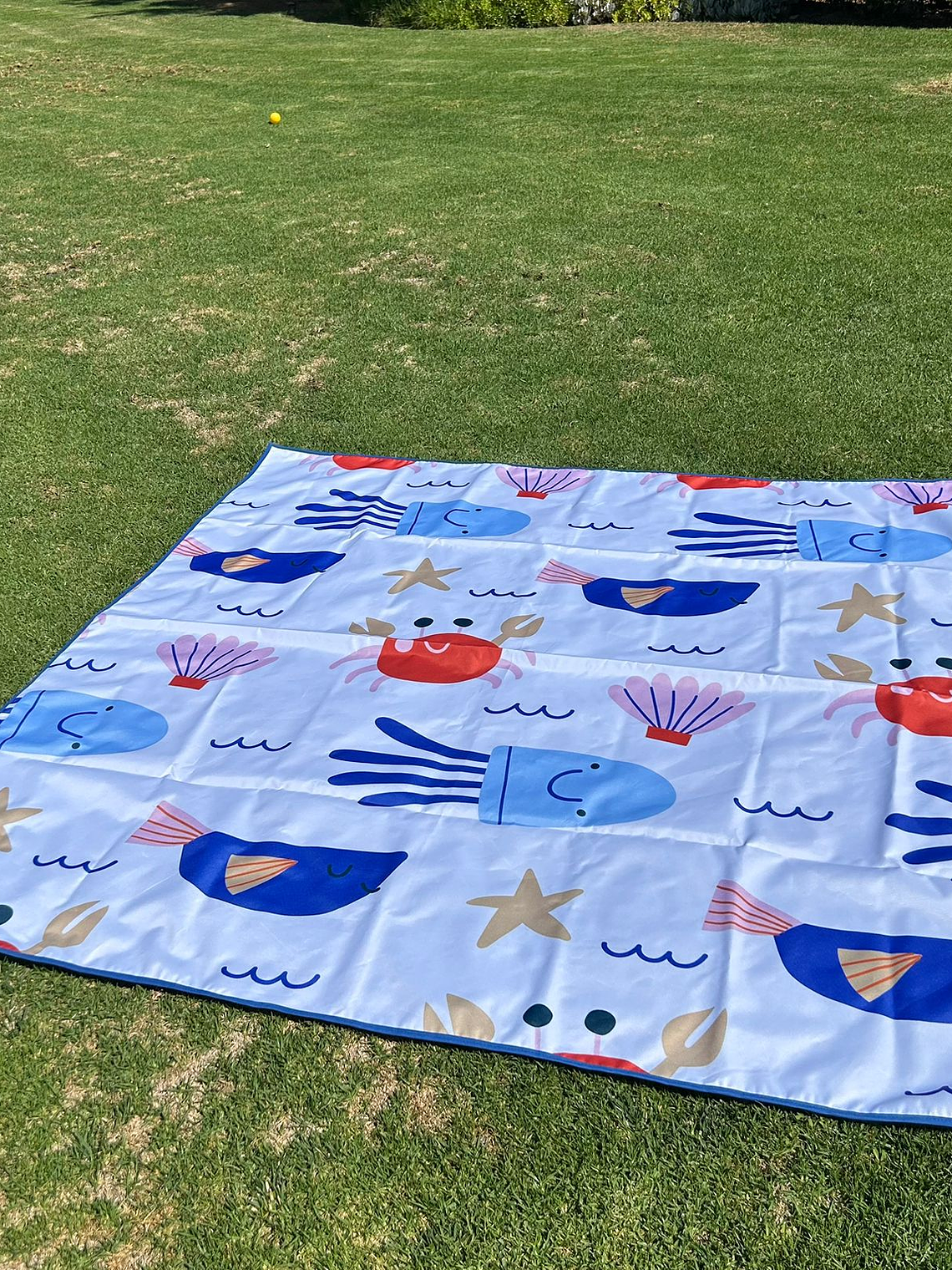 manta picnic aqua kids  1