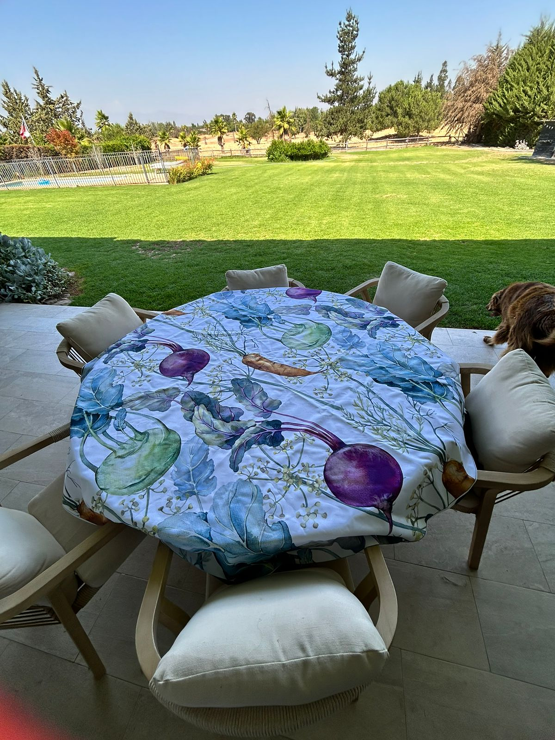 mantel redondo beterragas 1