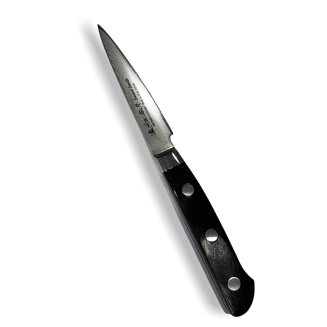 SATAKE paring knife 69 capas 9 cms de hoja 