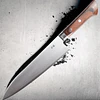 Gyuto Noushu Masamune Saku Shirogami 21 cm 803-373