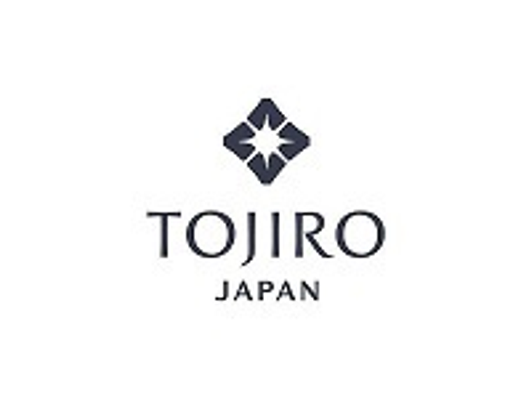 TOJIRO DP series by VG10, SANTOKU, 210 mm (F-500) 8