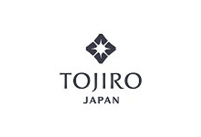 TOJIRO DP series by VG10, SANTOKU, 170 mm (F-503)