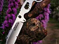 Karambit Buzzard White Hawk. Filo Liso. Hoja 8 cm. - Miniatura 3